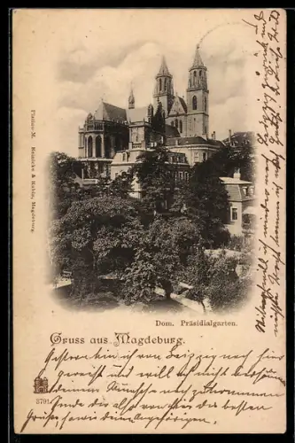 AK Magdeburg, Dom mit Präsidialgarten