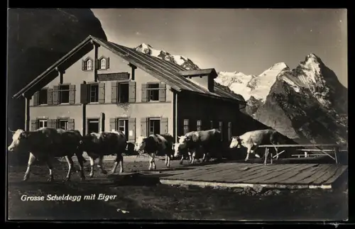 AK Grosse Schneidegg, Hotel mit Bergpanorama
