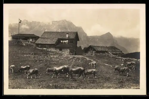 AK Engelberg, Gerschnialp mit Kühen auf der Weide