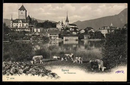 AK Spiez, Ortsansicht