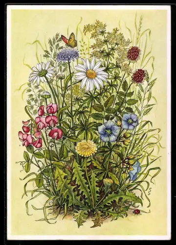 AK Stuttgart, Reichsgartenschau 1939, Wiesenblumen, Ausstellung