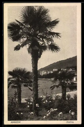 AK Abbazia, Slatina