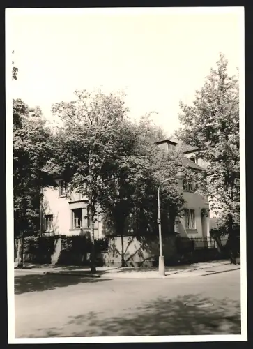 Fotografie Ansicht Offenbach a. M., Merhfamilien Wohnhaus von Bäumen umwachsen