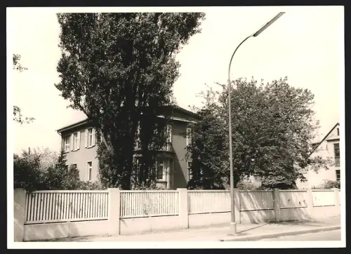 Fotografie Ansicht Offenbach a. M., Partie in einer Wohnsiedlung mit zugewachsenem Grundstück