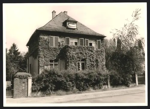 Fotografie Ansicht Offenbach a. M., von Efeu bewachsenes Wohnhaus mit Kissen zum Läufen am Fenster