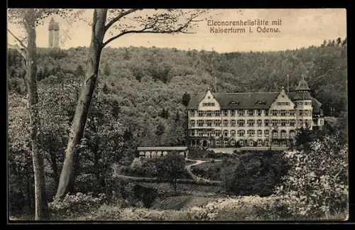 AK Lindenfels, Eleonorenheilstätte mit Waldansicht