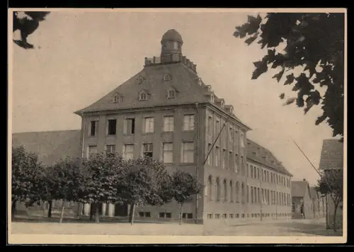 AK Gernsheim a. Rh., Realgymnasium mit Strassenpartie