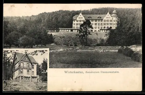 AK Winterkasten, Sanatorium Eleonorenheim