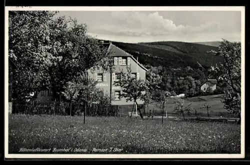 AK Bremhof /Odenau, Gasthof Pension J. Stier