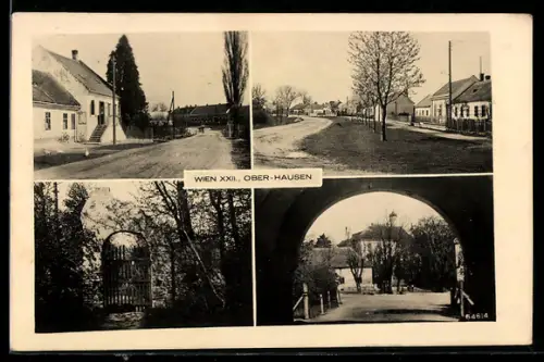 AK Gross-Enzersdorf, Ober-Hausen, Strassenpartie im Ort, Tordurchblick