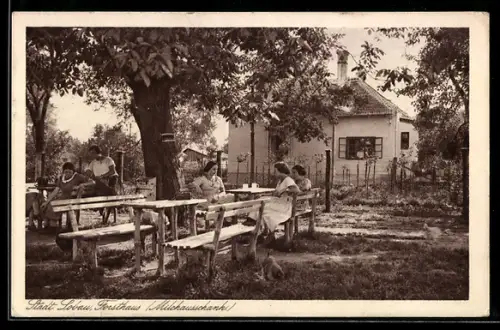 AK Wien, Städt. Lobau, Garten des Milchausschank am Restaurant Forsthaus