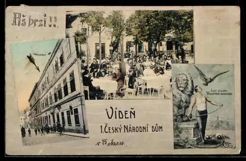 AK Wien, Cesky Národni Dum, Turnegasse 9