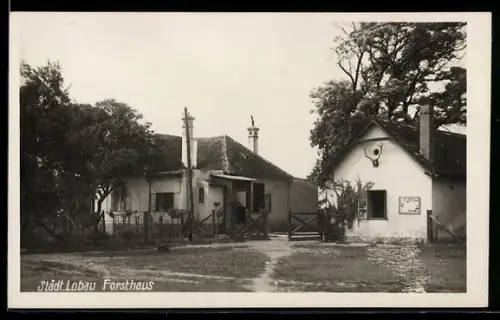 AK Städt. Lobau, Gasthof Forsthaus