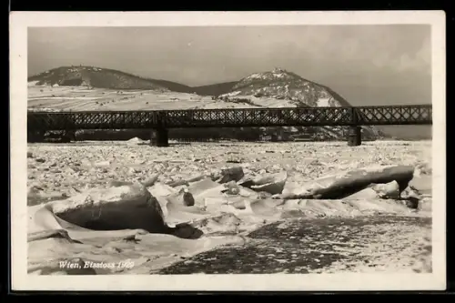 AK Wien, Eisstoss 1929, Reichsbrücke