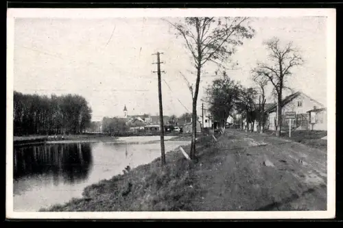 AK Gross-Enzersdorf, Probsdorf, Uferpartie