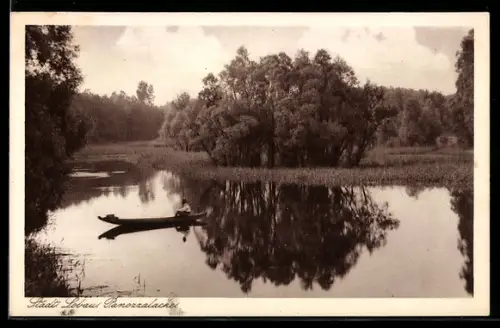 AK Wien, Städt. Lobau, Panozzalacke