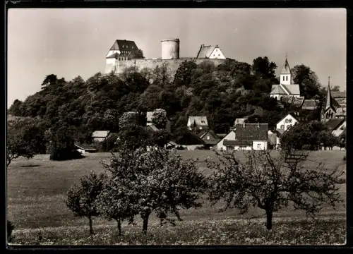 AK Hering /Odenwald, Jugendherberge Veste Otzberg