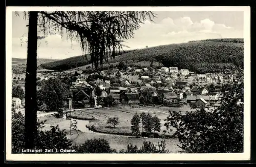 AK Zell /Erbach, Totalansicht mit Umgebung