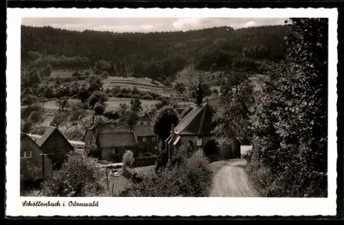 AK Schöllenbach i. Odenwald, Teilansicht mit Umgebung