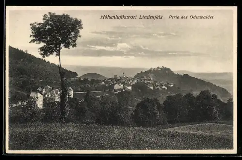 AK Lindenfels, Totalansicht mit angrenzendem Wald