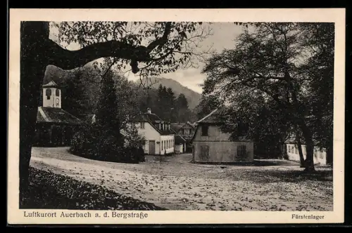AK Auerbach a. d. Bergstrasse, Partie im Fürstenlager