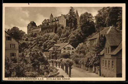 AK Schönberg b. Bensheim, Ortspartie mit Blick auf das Schloss