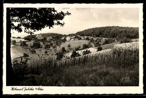 AK Juhöhe i. Odenwald, Blick vom Feld auf die Siedlung, Gasthaus und Pension zur Juhöhe