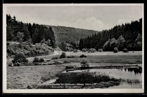 AK Vielbrunn, Strasse zum Ort im Ohrenbachtal