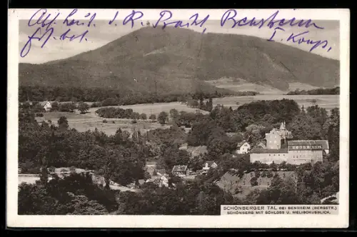 AK Bensheim, Totalansicht mit Schönberger Tal, Schloss und Melibokusblick