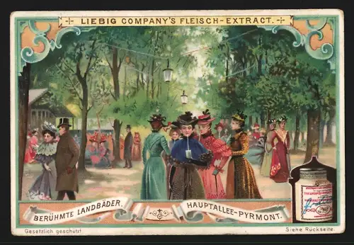 Sammelbild Liebig, Fleisch Extract, Serie Landbäder, Hauptallee-Pyrmont