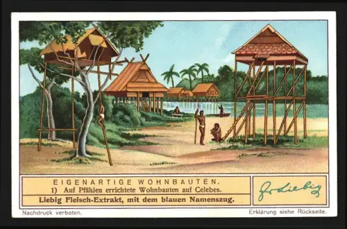 Sammelbild Liebig, Fleisch Extrakt, Serie Eigenartige Wohnbauten, Auf Pfählen errichtete Wohnbauten auf Celebes