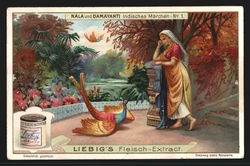 Sammelbild Liebig, Fleisch Extrakt, Indisches Märchen Nala und Damayanti, Damayanti vor einer Goldgans