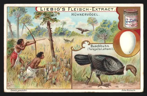 Sammelbild Liebig, Buschhuhn und Einheimische bei der Jagd