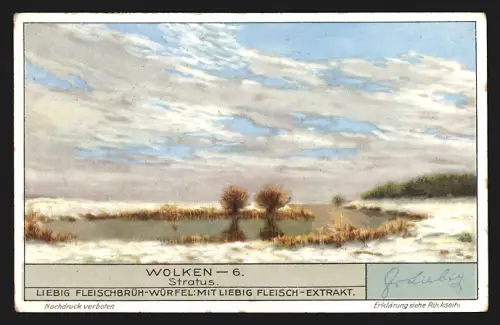 Sammelbild Liebig, Arten von Wolken, Stratus