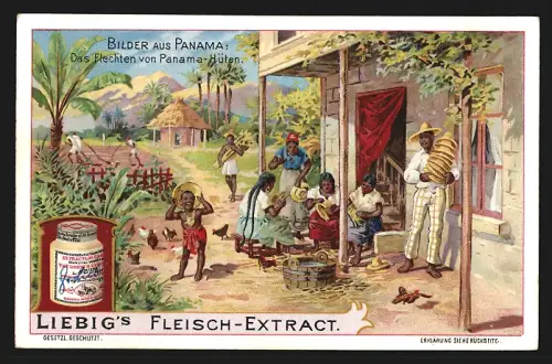 Sammelbild Liebig, Bilder aus Panama, Das Flechten von Hüten