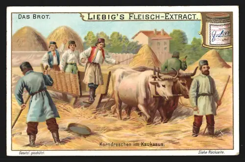 Sammelbild Liebig, Das Brot, Korndreschen im Kaukasus