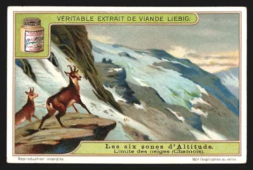 Sammelbild Liebig, Les six zones d`Altitude, Limite des neiges