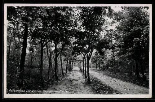 AK Dievenow, Ostseebad, Bergmannstrasse