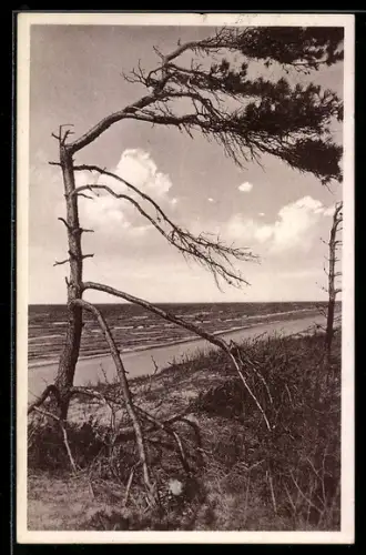 AK Lüchentin /Kr. Cammin, Ostseebad, Strand