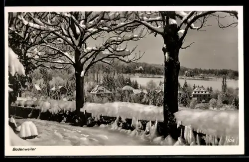 AK Badenweiler, Winterliche Ortsansicht mit verschneiten Bäumen und Gebäuden