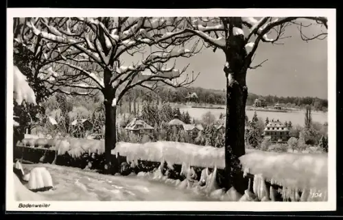 AK Badenweiler, Winterliche Ortsansicht mit verschneiten Bäumen und Gebäuden