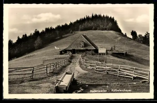 AK Badenweiler, Kälbelescheuer