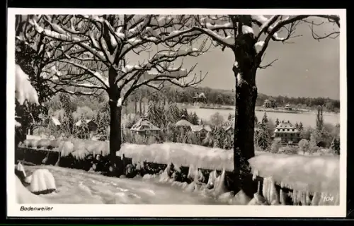 AK Badenweiler, Winteransicht mit verschneiten Bäumen und Blick auf den Ort