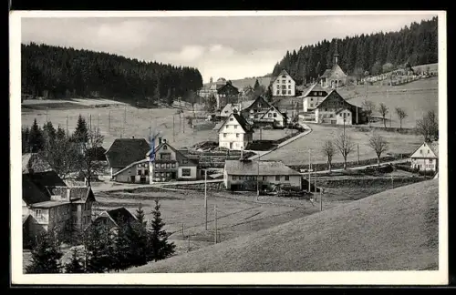 AK Eisenbach /Schwarzwald, Ortsansicht mit Kirche und Gasthäusern