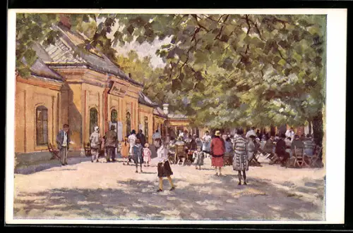 AK Wien-Schönbrunn, Tiergarten, Meierrei