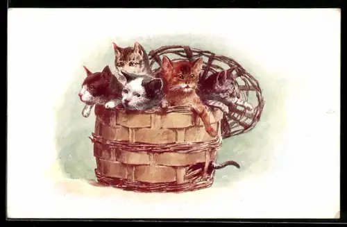 Künstler-AK Vier Katzen in einem Korb