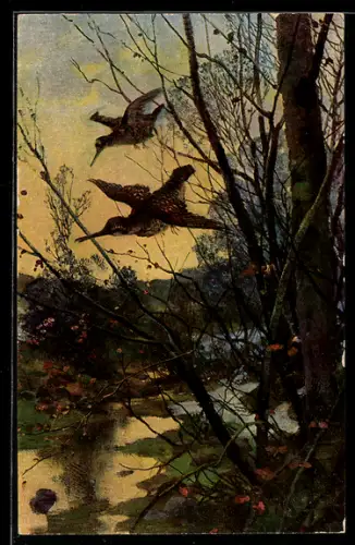 Künstler-AK Imita / A.S.-M. Leipzig Nr. 550: Landschaftsmotiv mit Vögeln