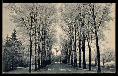 AK Berlin-Steglitz, Allee mit Bäumen