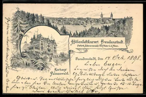 Lithographie Freudenstadt /Württ. Schwarzwald, Kurhaus Palmenwald, Ortsansicht