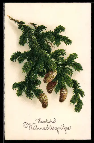 AK Tannzweig mit Zapfen, Weihnachtsgruss